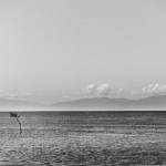 llb-058-paul-hinlo-400px