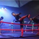Instructors lead the crowd with a routine of mixed karate, taekwondo, boxing, judo and muay thai.