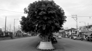 Ringo Bunoan_island09