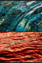 M Delgado Exhibit-circuitmagNEW
